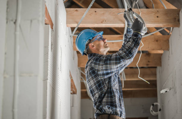 Best Electric Panel Repair  in Carson City, NV